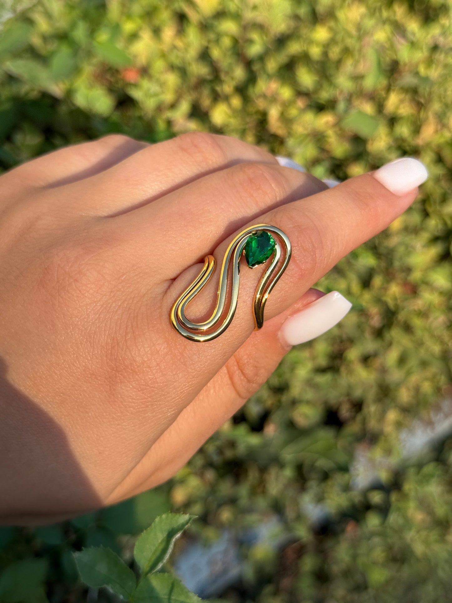 Envy heart